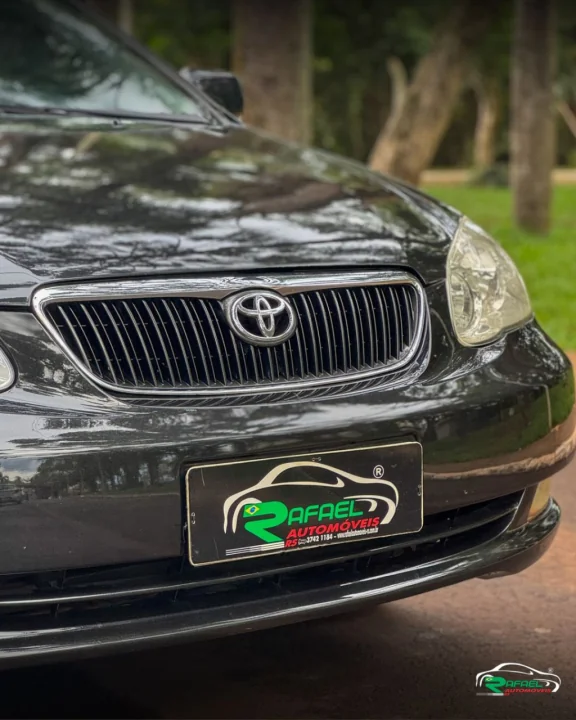 Corolla SEG